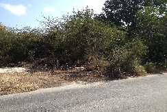 Reinoud  Jan thiel 006